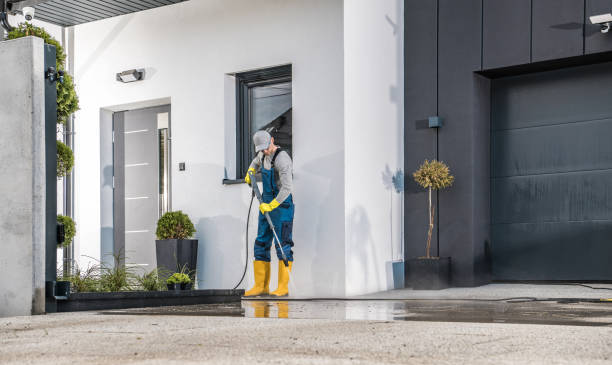Best Dumpster Area Cleaning  in Walden, TN